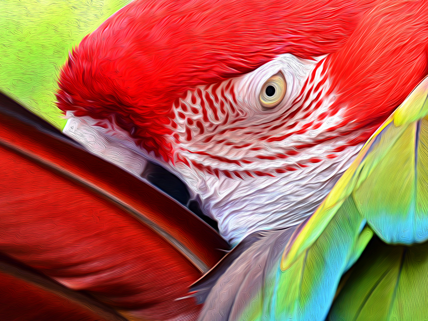 Close-up detail of La Mirada de la Guacamaya fine art canvas print by FOTOLEO, showing photographic detail transformed through digital artistry.