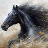 Midnight Grace Black Horse Fine Art Canvas Print